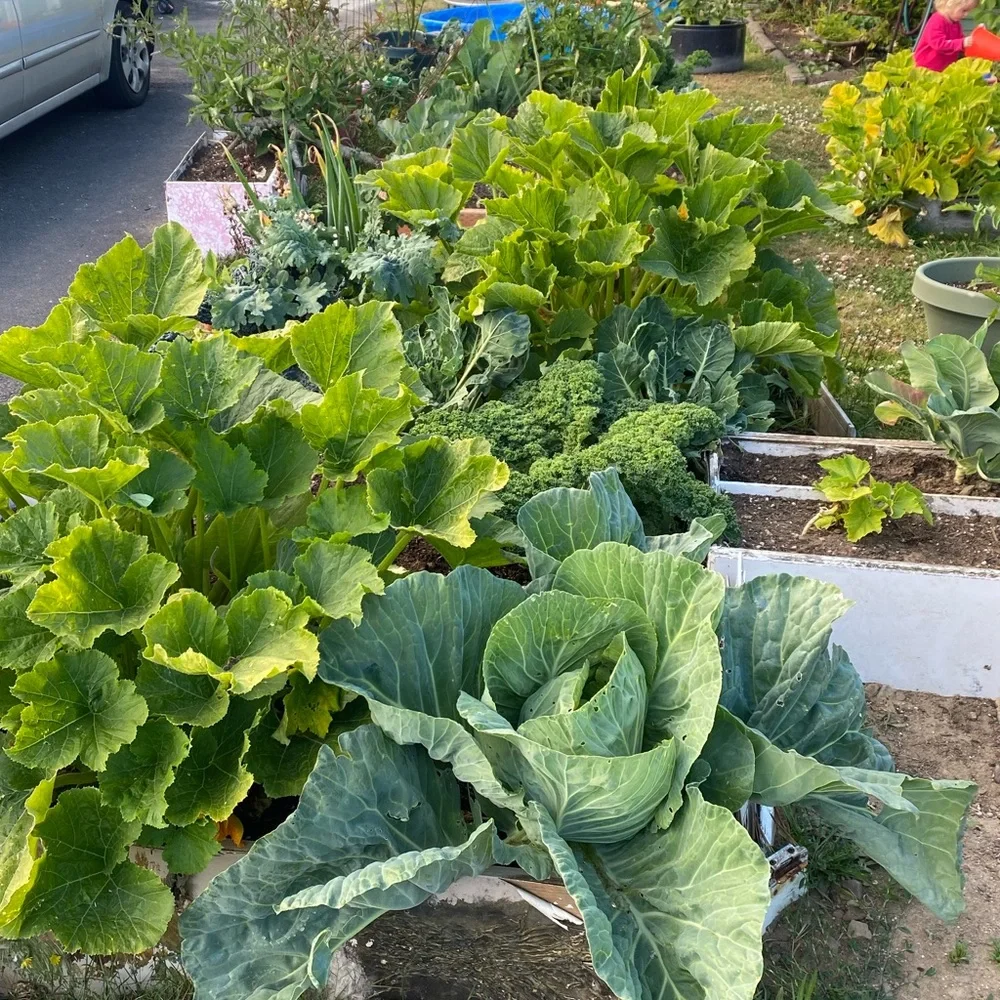 Share Show! Usually No Theme, Just Be Nice. Unlisted Items Too! @katyw12 - Picture 4 of 13